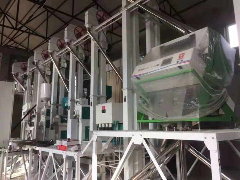 玉米雜糧設(shè)備