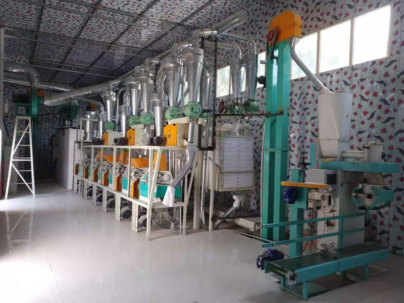 延長設備壽命：面粉機與石磨機的日常保養秘訣